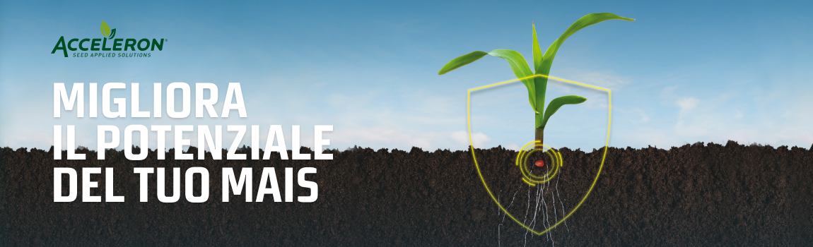 Acceleron® Seed Applied Solutions | DEKALB